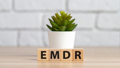 EMDR Therapy